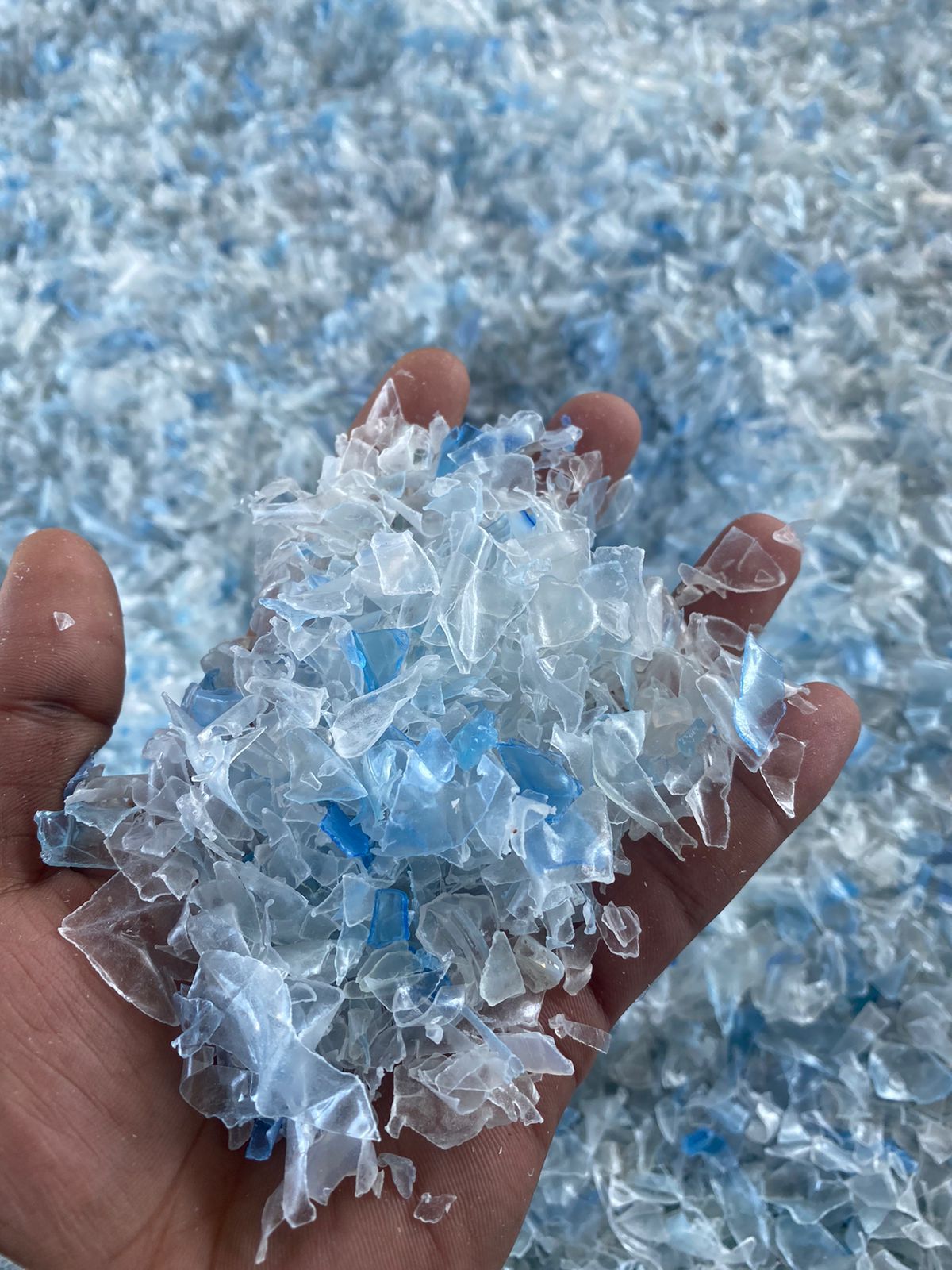 WhatsApp ምስል 2024-11-12 በ 21.25.57